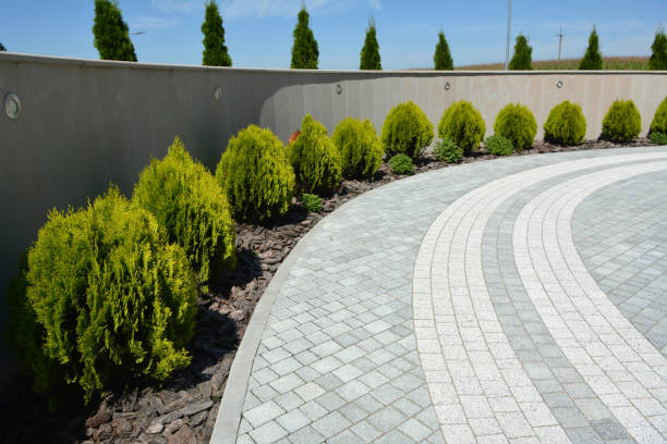 Best Driveway Pavers Contractor  in Hasley Nyon, CA